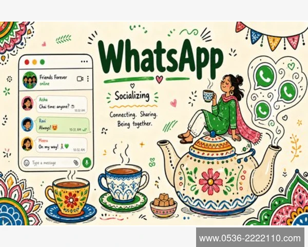 掌控你的WhatsApp备份时间与大小全解析